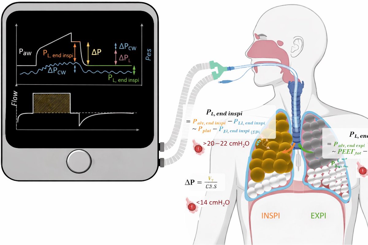 Yasser Almutairi tweet media