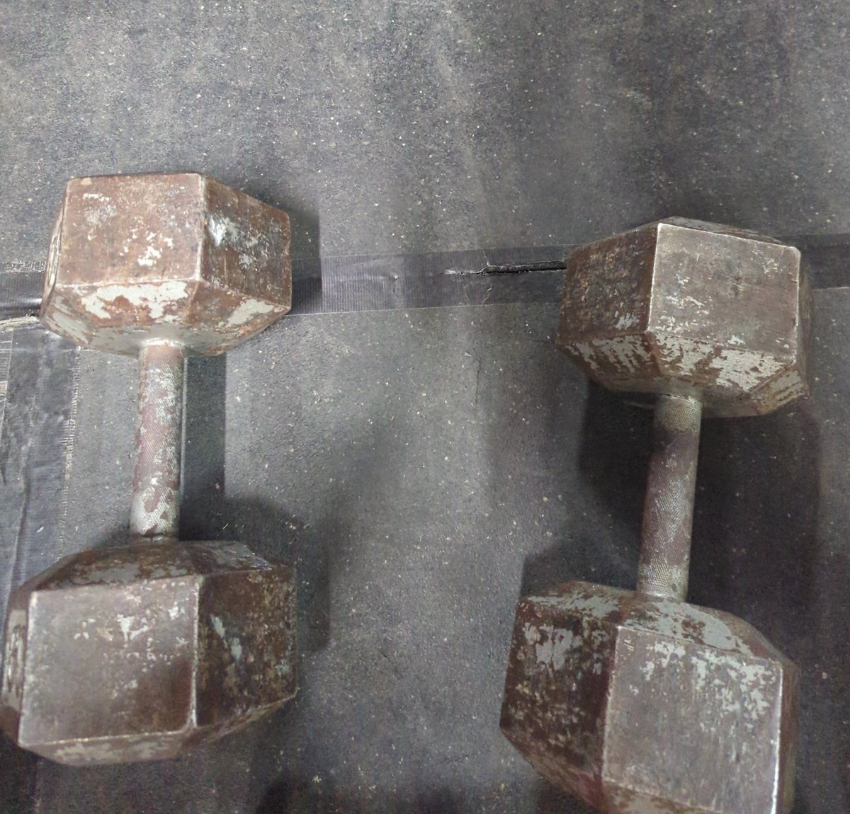 Silly Little Guy tweet media