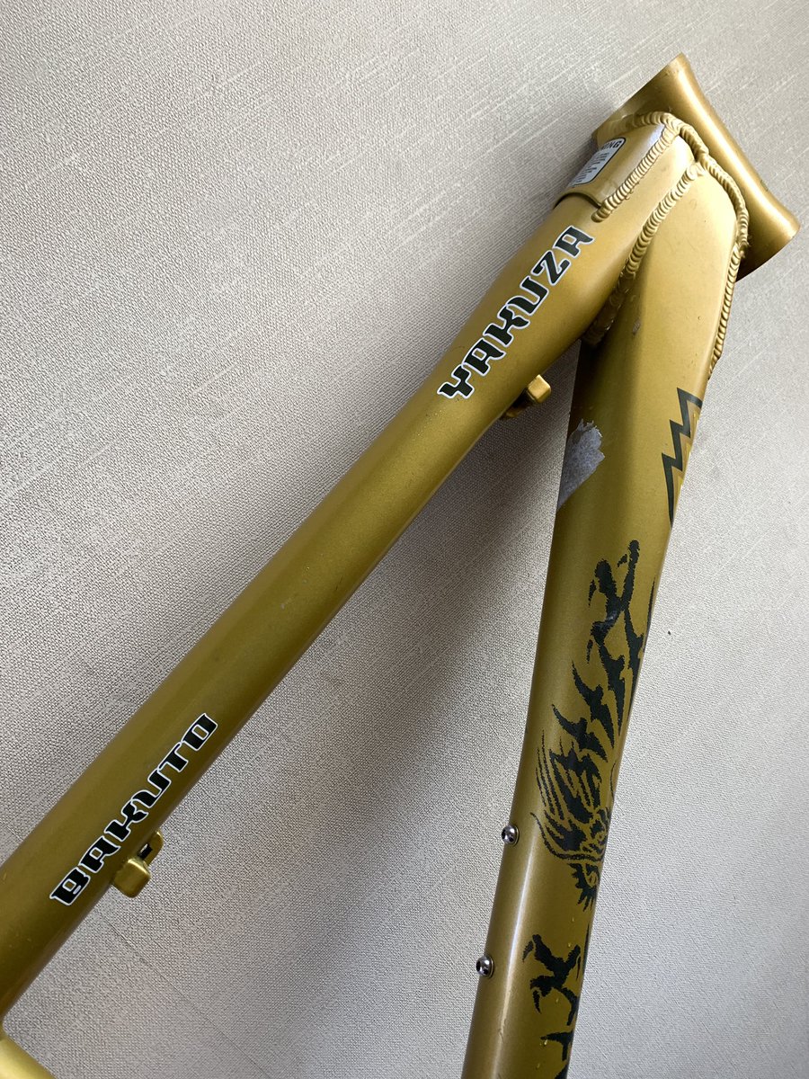 見なよ…オレのYAKUZAを…