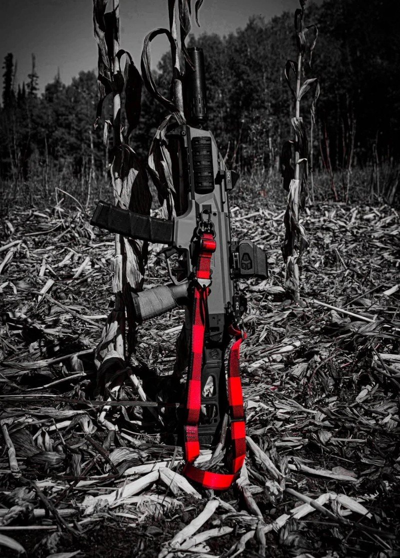 Evan Floodman tweet media