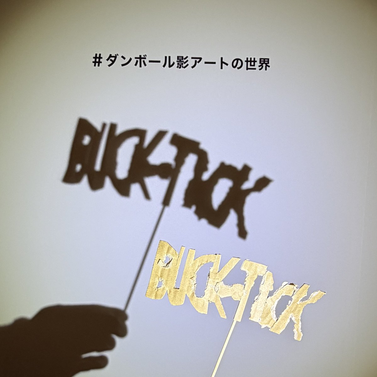 涼ぷ🐠 tweet media