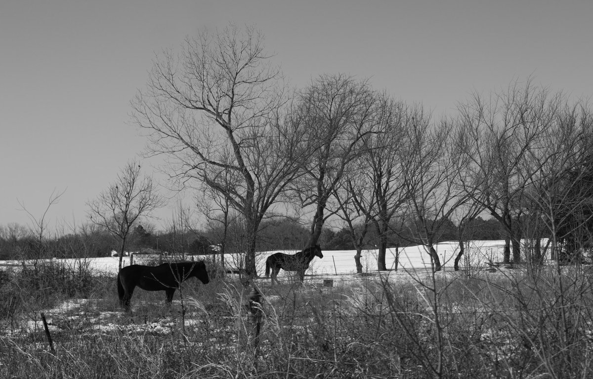 devinpense's tweet photo. Took a drive with no destination. https://t.co/tR2UC4IM1D