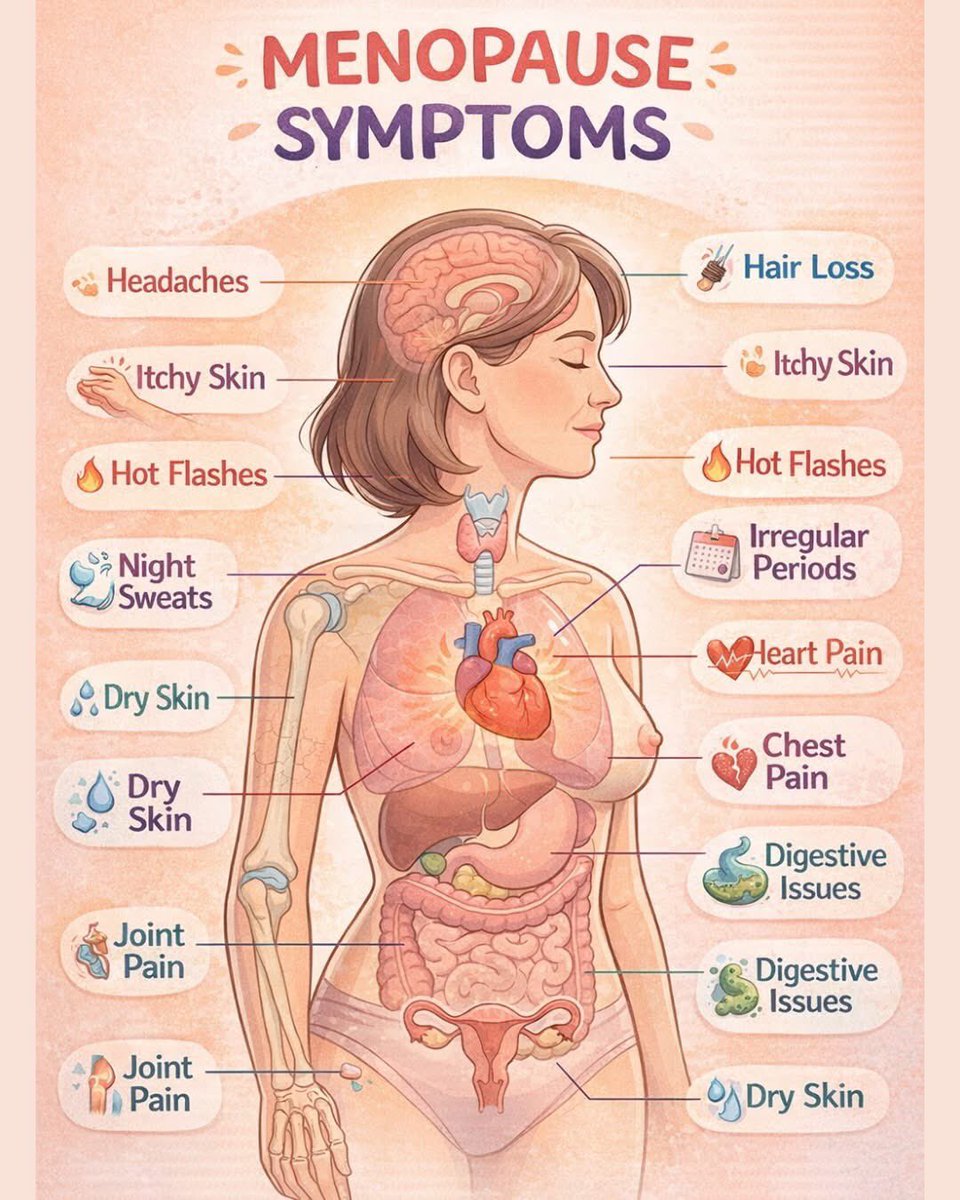 Med_Bytes's tweet image. Menopause system in female **
