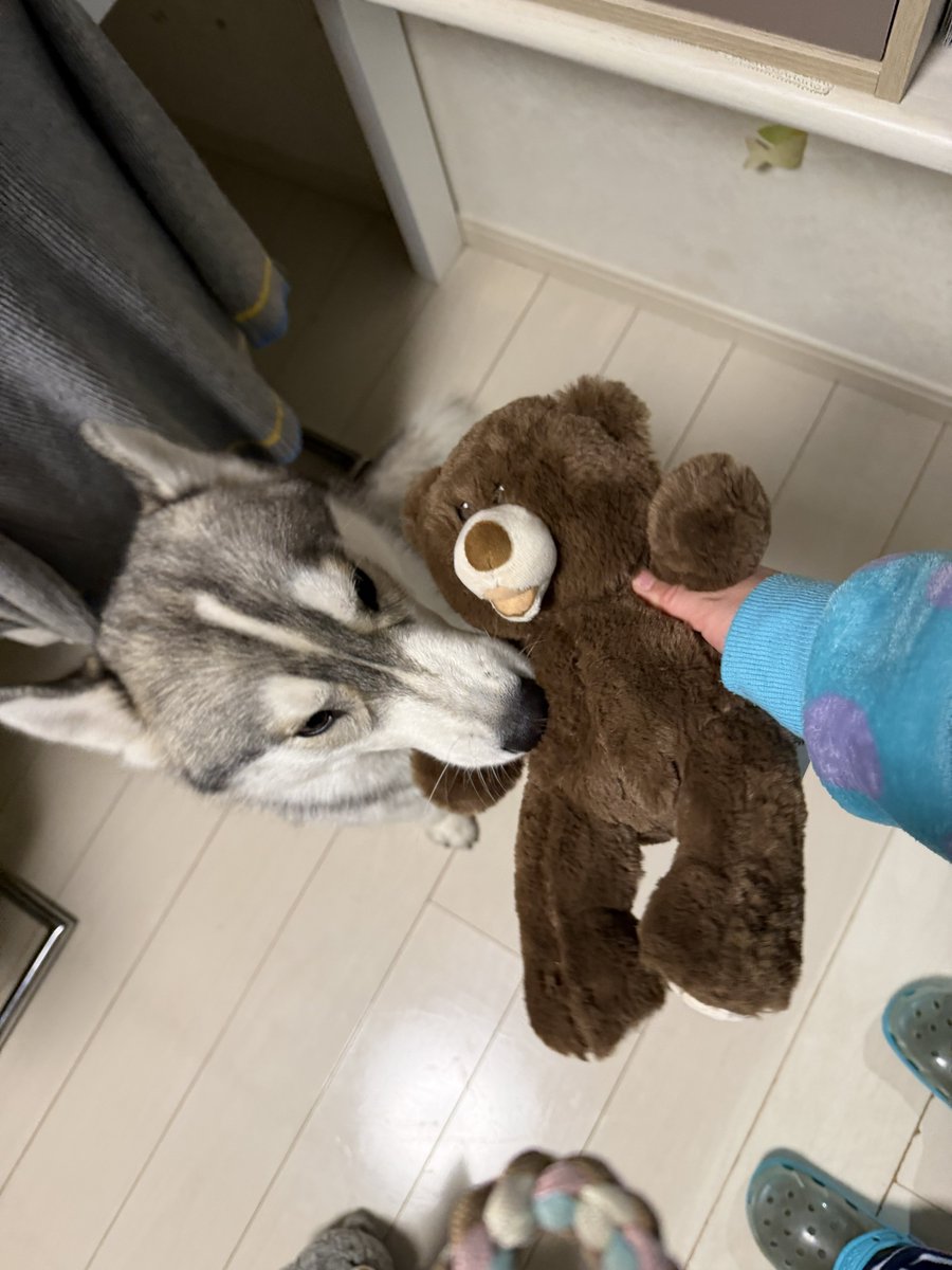 Genie(ジーニー) (@Genie_0213) / Posts / X