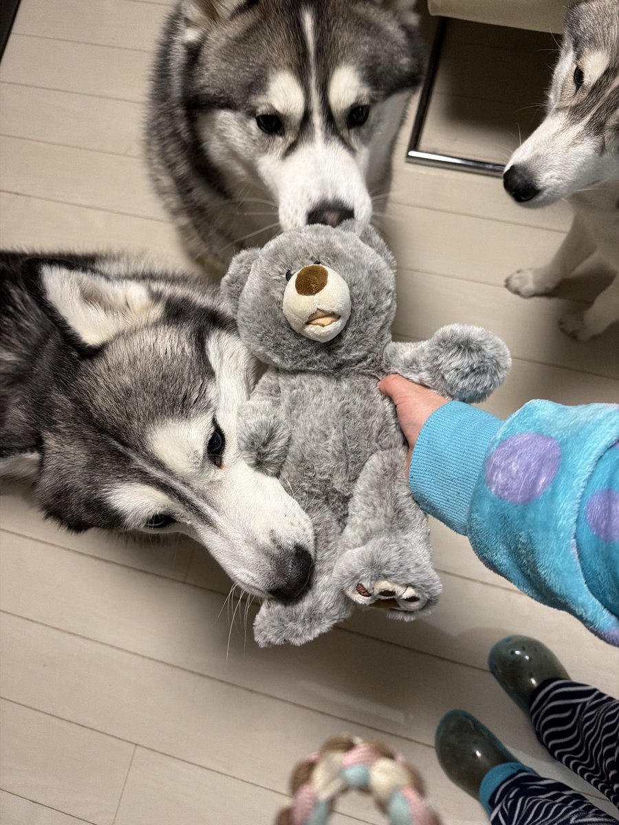 Genie(ジーニー) (@Genie_0213) / Posts / X