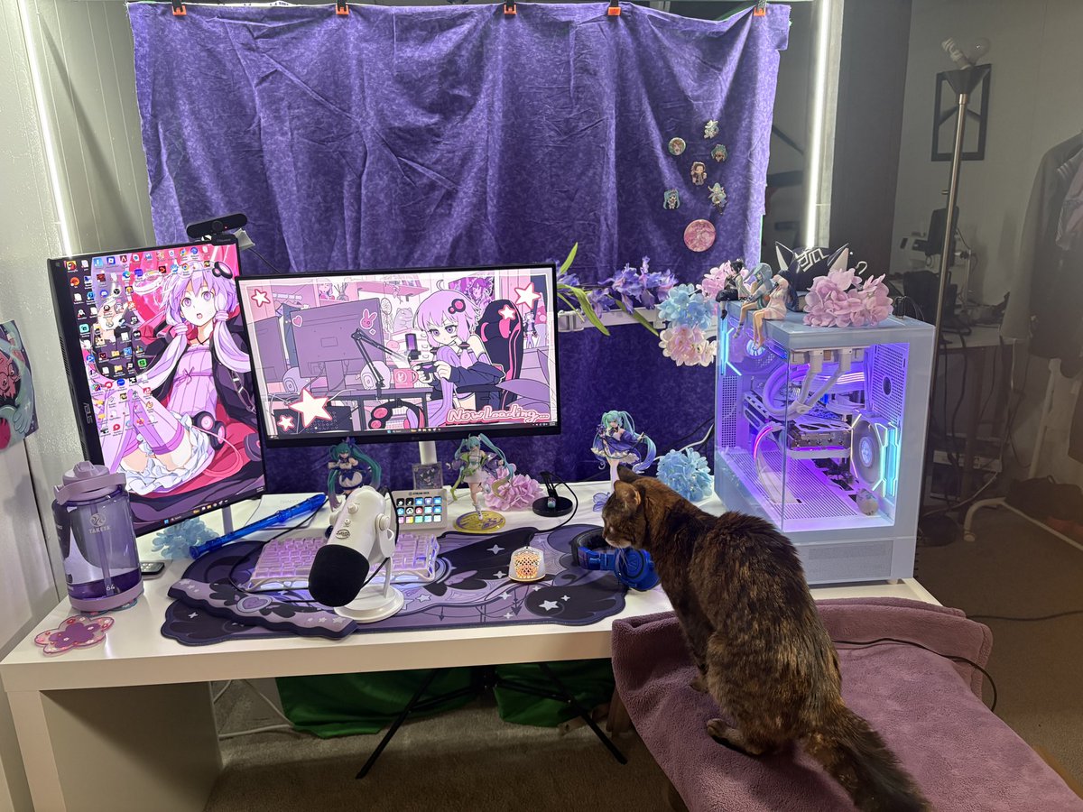 Setup all clean and ready to go for the 26 hour stream tomorrow YIPPEE come wish me a happy birthday on twitch.tv/purpzuki #owtwt #overwatch