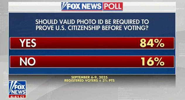 AdamLowisz's tweet image. Nearly everyone overwhelmingly agrees that you need to present an ID and be a citizen to vote. Only the Democrat Party leadership is stubborn about this because they want to undermine democracy and cheat.