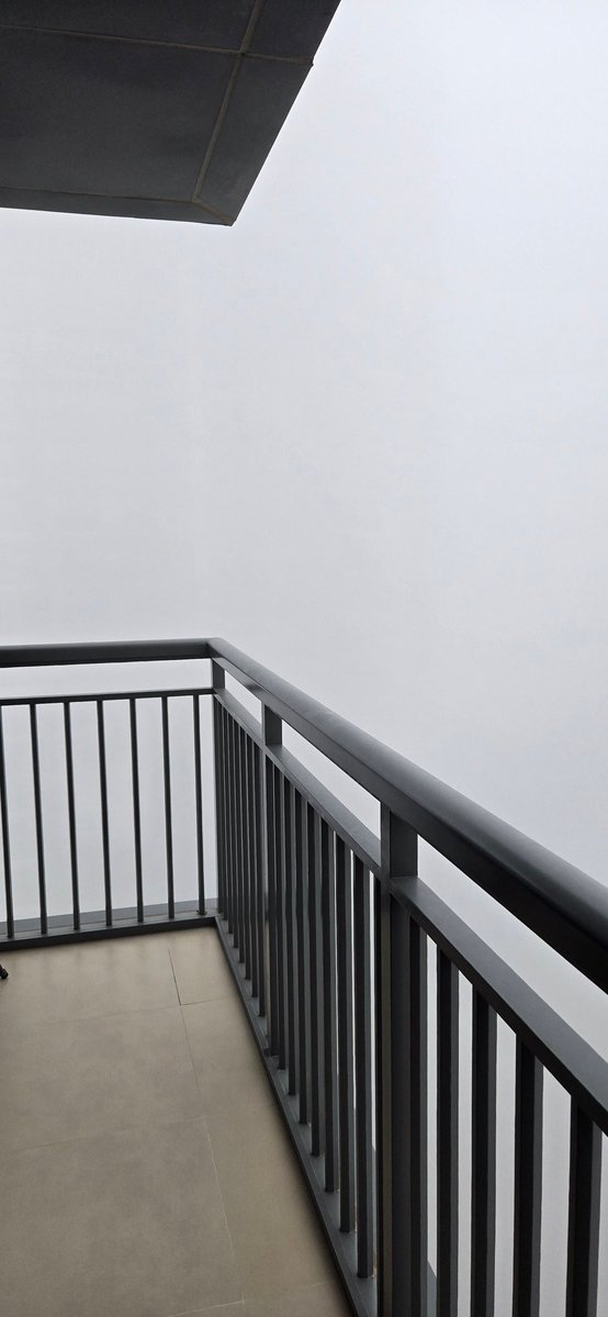 MarioKB's tweet image. 起きたら『ミスト』の世界になってた 😶‍🌫️