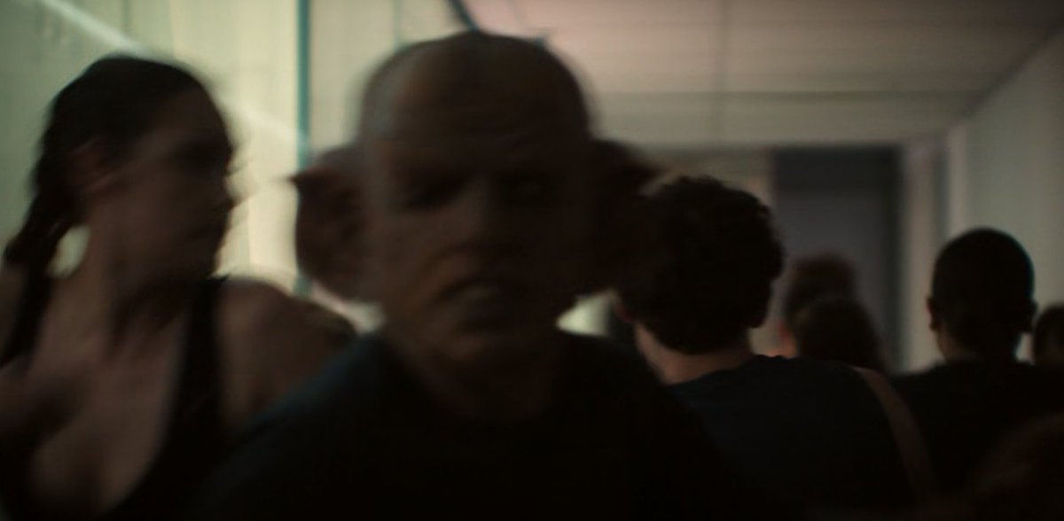 Maanvis 🇳🇱 🍅 tweet media