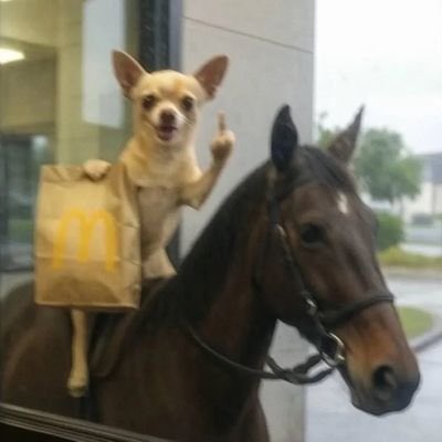 한좐할래홉 (@seokjinwiffe) on Twitter photo 