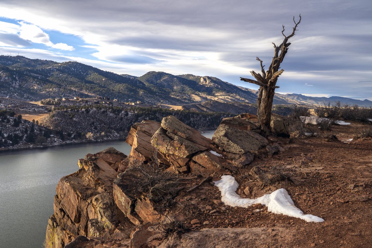 rich_herrmann's tweet image. Share QP your favourite January Shots📸 

#Photography 
#January #nature