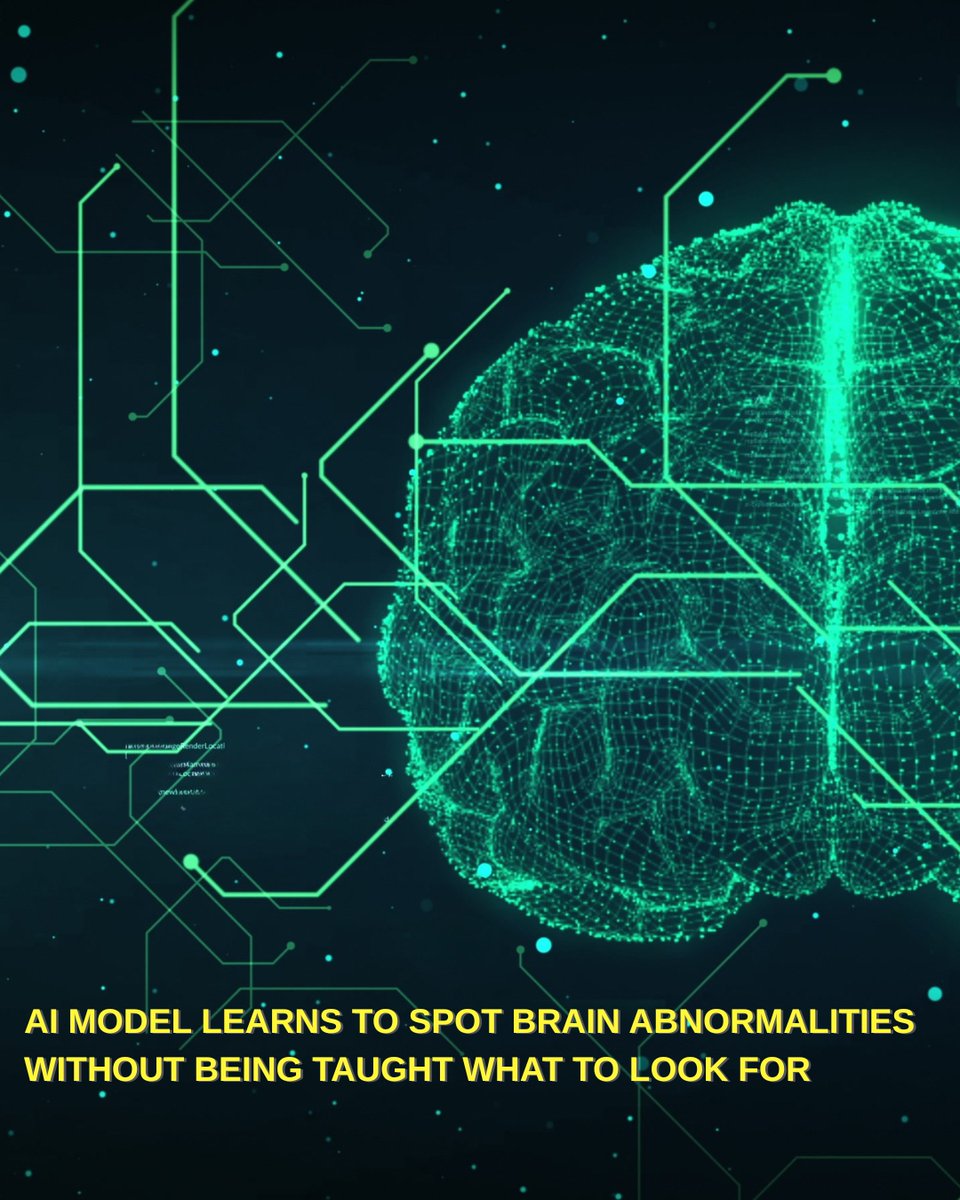 HKBU Science tweet media