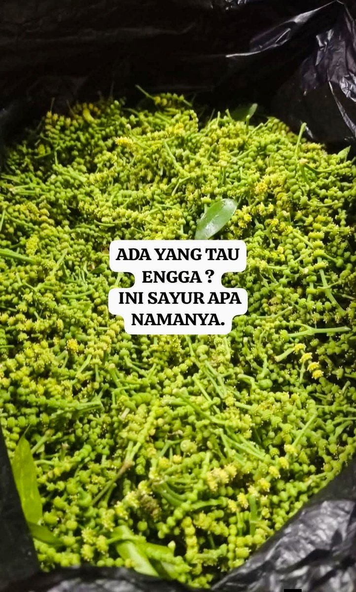 Ketawa itu GRATIS 🛩 tweet media