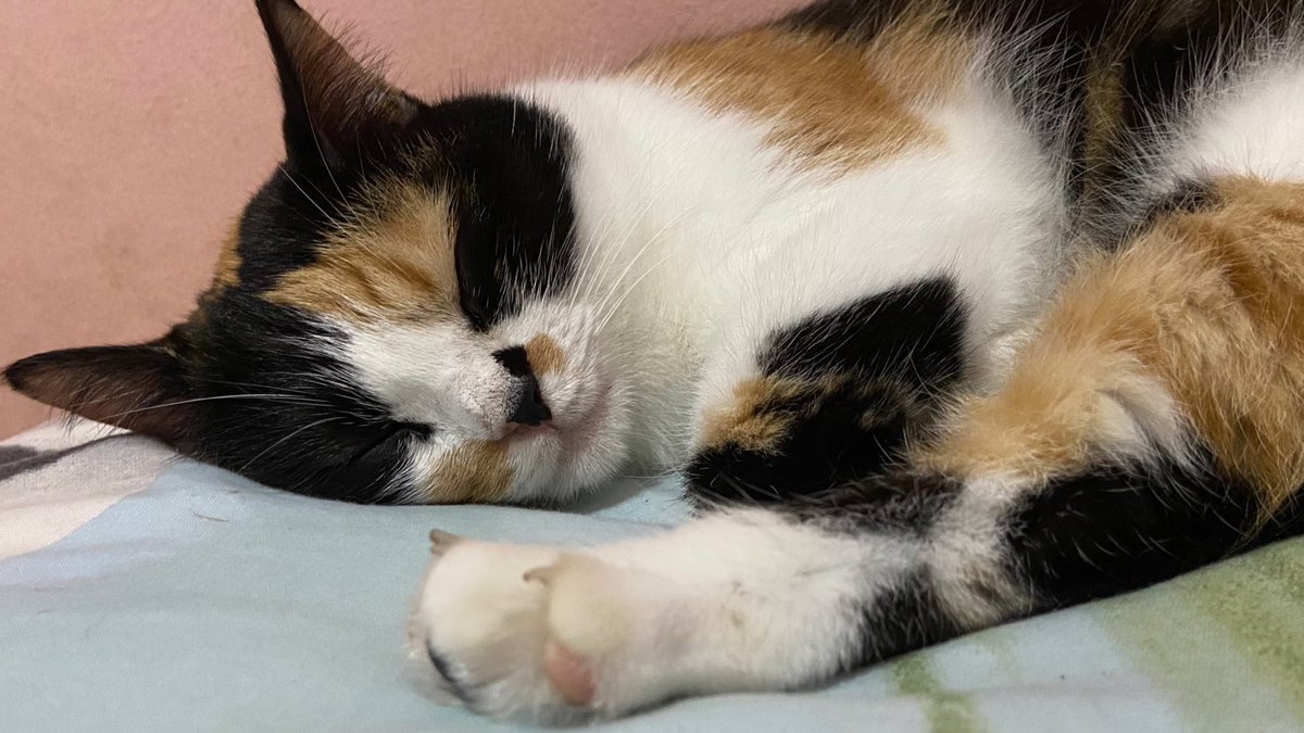 tupaincrisis's tweet image. ᅠ

ᅠ

ᅠ

ᅠ

ᅠ

ᅠ

ᅠ

ᅠ

ᅠ

ᅠ

ᅠ
ᅠ
ᅠ

ᅠ

ᅠ

ᅠ
ᅠ

ᅠ

ᅠ

ᅠ

ᅠ

ᅠ

ᅠ

ᅠ

ᅠ

ᅠ

ᅠ
ᅠ
ᅠ

ᅠ

ᅠ

ᅠ
ᅠ

ᅠ

ᅠ

ᅠ

ᅠ

ᅠ

ᅠ

ᅠ

ᅠ

ᅠ

ᅠ
ᅠ
ᅠ

ᅠ

ᅠ

ᅠ
ᅠ

ᅠ

ᅠ

ᅠ

ᅠ

ᅠ

ᅠ

ᅠ

ᅠ

pembersihan tl