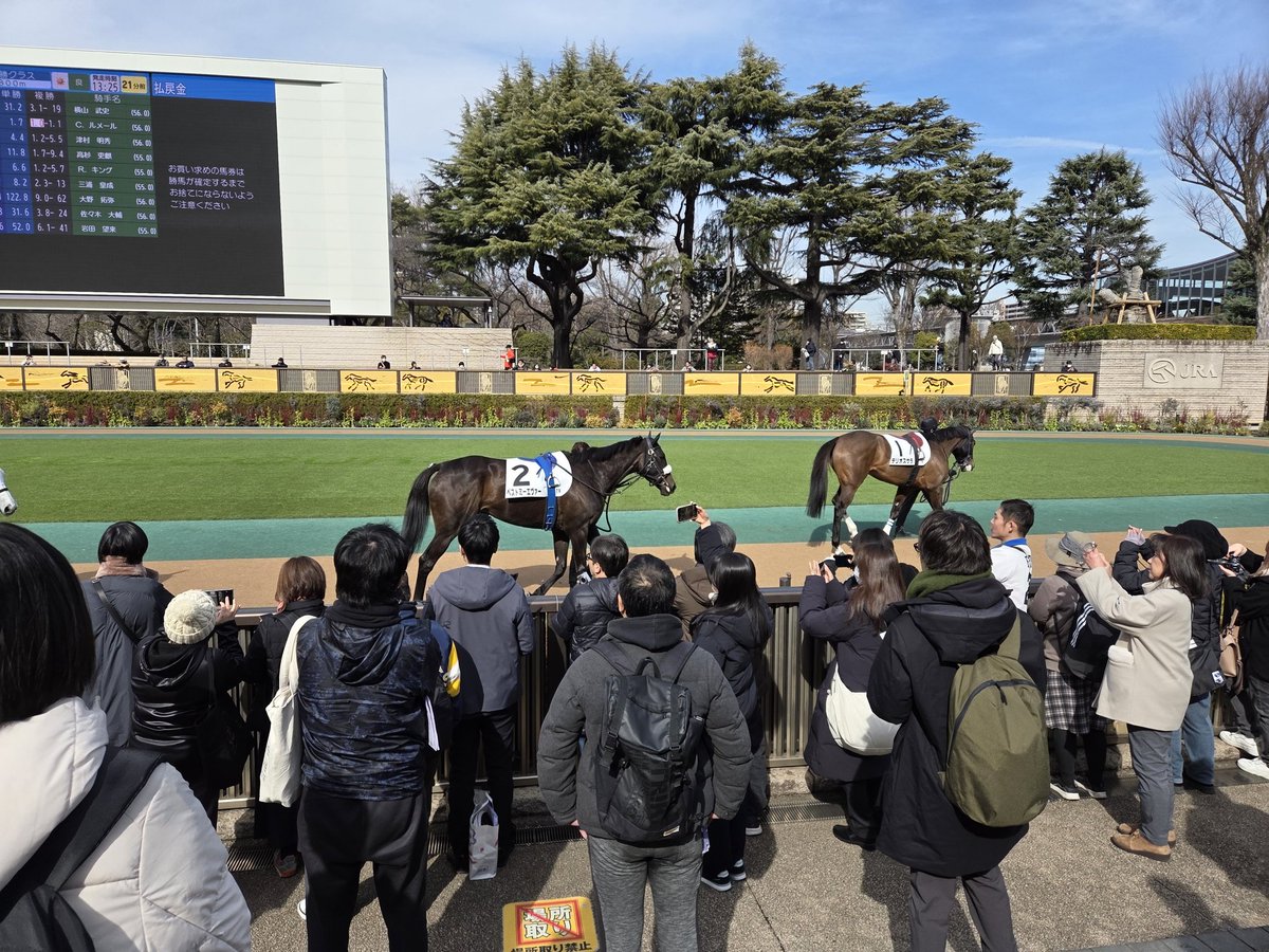 RakuRaku tweet media