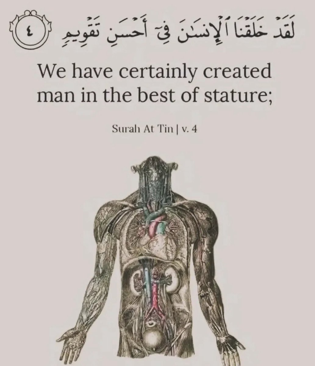 Sulaymann1317's tweet image. Verse of the day.