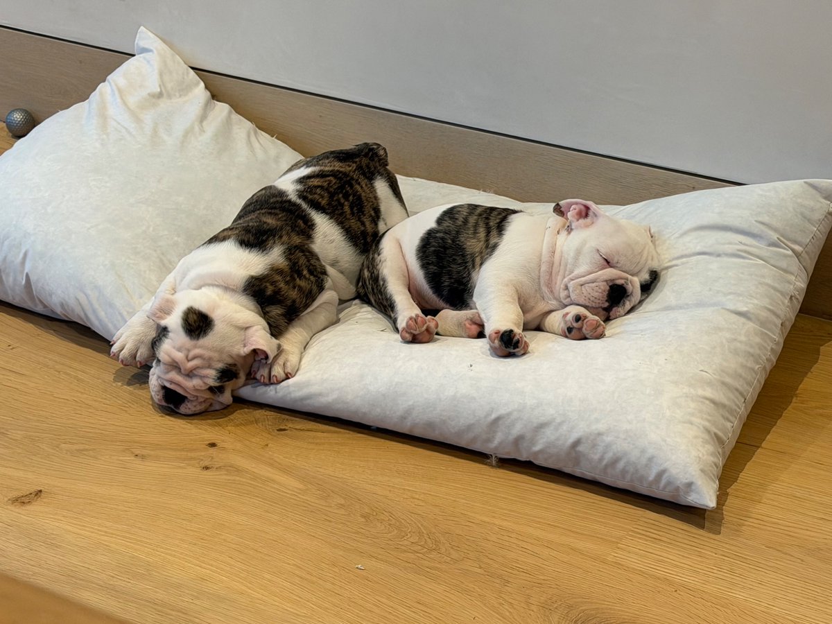 Michael Perry tweet media