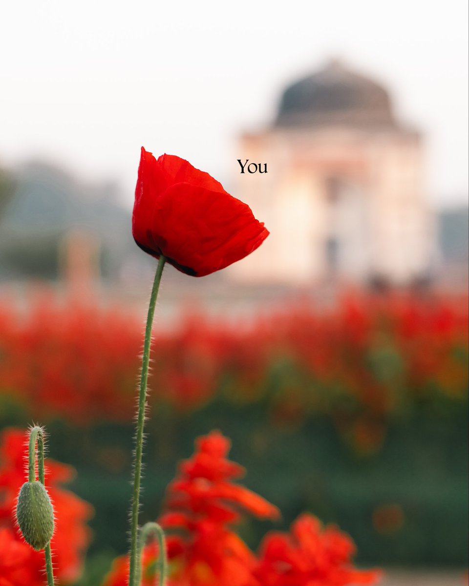 Onkar Lele tweet media