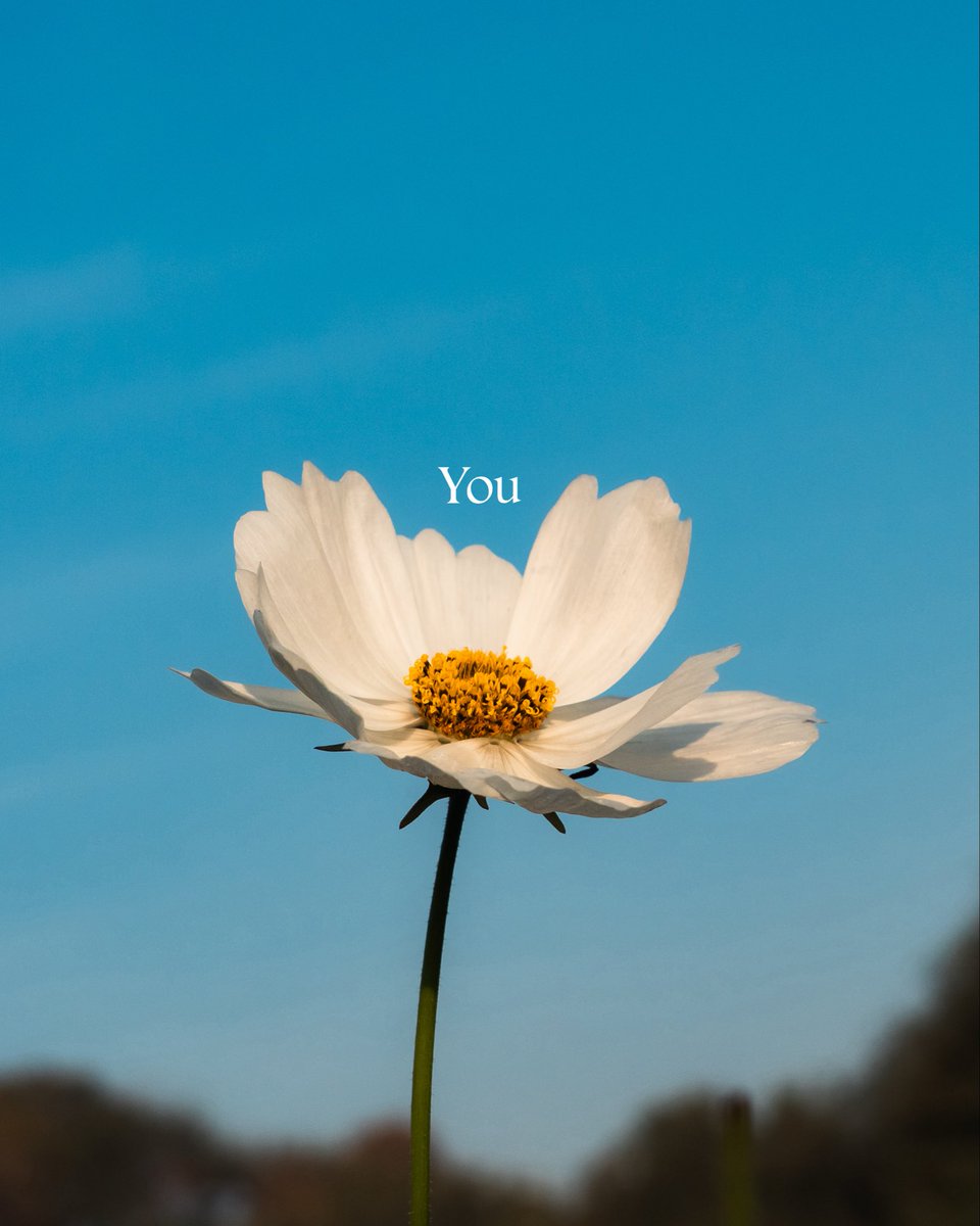 Onkar Lele tweet media