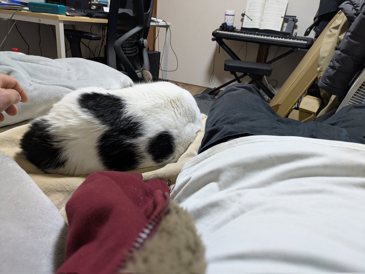 Post by フンニングウェイ@Tiamat on X: なんか寝に来た