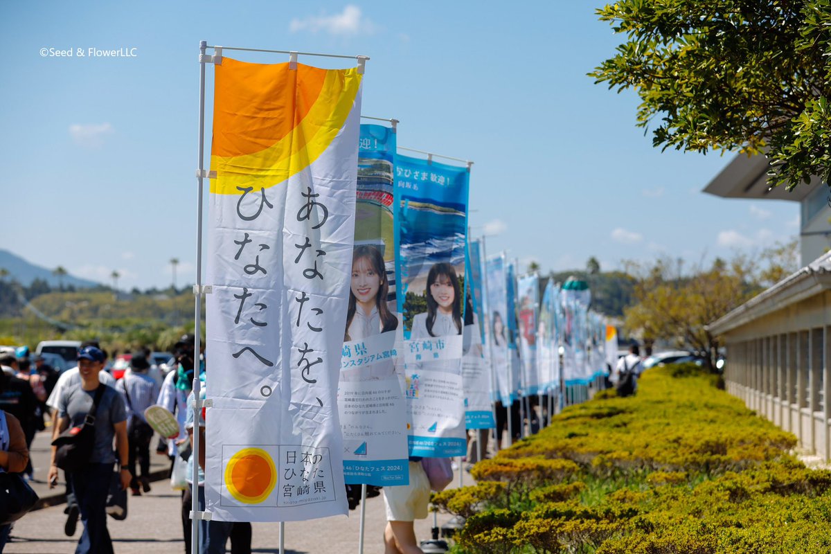 miyazakip_tokyo's tweet photo. 【#日向坂46 による「#ひなたフェス2026」の開催が決定🎊】
9/5(土)及び9/6(日)にひなた宮崎県総合運動公園にて、日向坂46による音楽イベント「ひなたフェス2026」が開催されます✨
前回���「ひなたフェス2024」から2年ぶり！
開催が待ち遠しいです😍
https://t.co/Dv3RiCt6fG https://t.co/DjGLsyz0ph