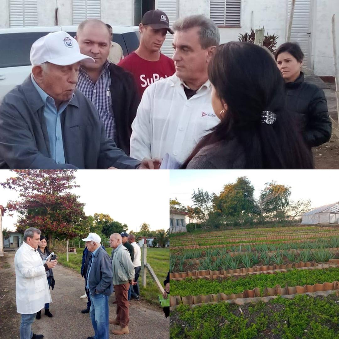 Recorrió en Comandante José Ramón Machado Ventura, el Hospital Dermatológico de #LaHabanaDeTodos, donde intercambio con directivos y trabajadores de la finca de plantas medicinales.
#LaHabanaViveEnMí