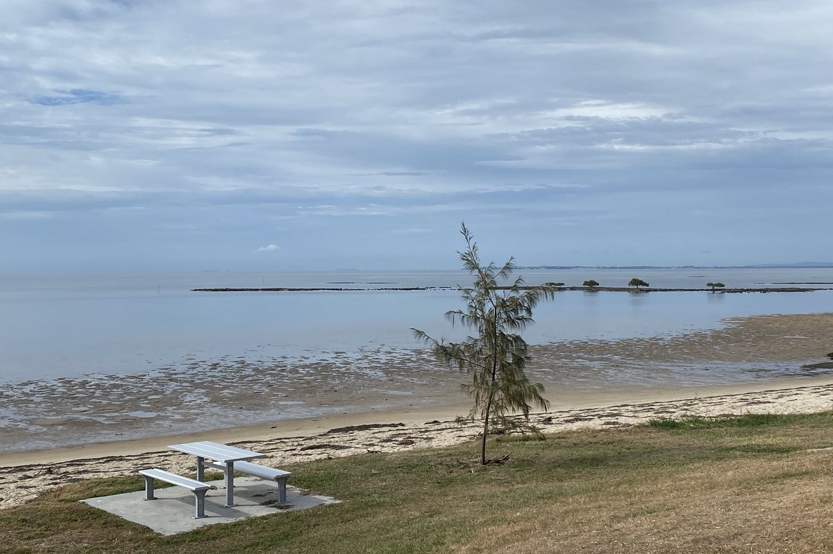 roamingfox | Alma tweet media