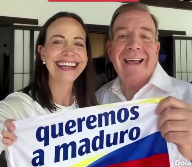 Otro Perro Realengo suelto tweet media