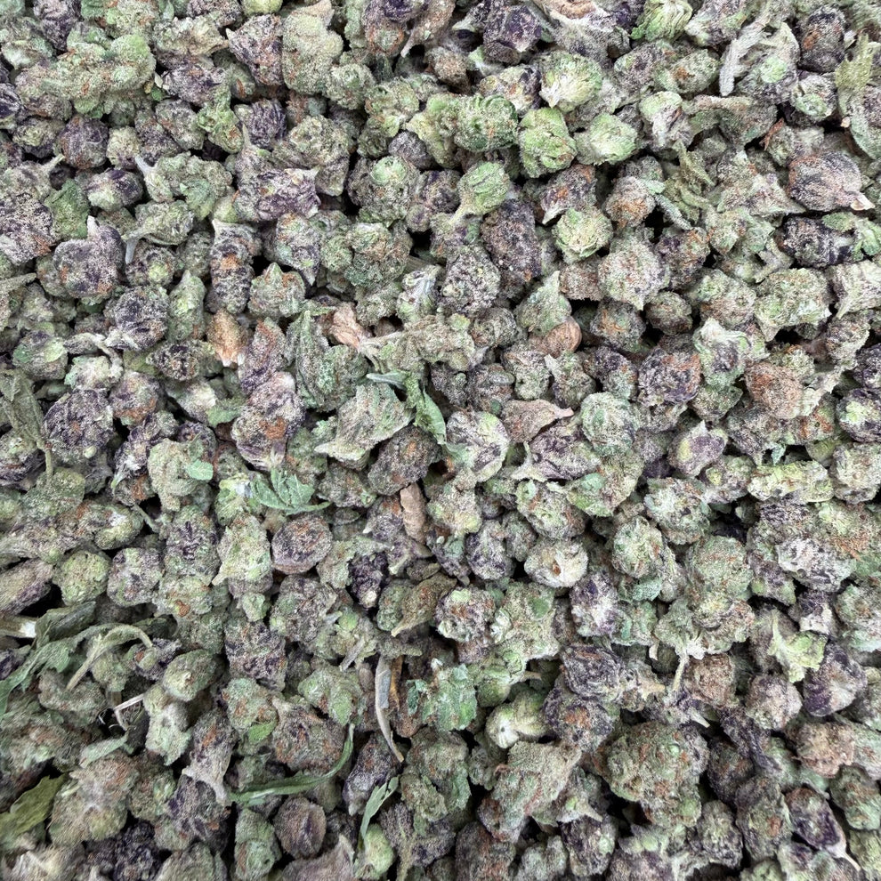Cportmerch's tweet photo. https://t.co/skTi9kjMeH
Adult Use Only 21+ ⚠️ 
#THCAKing discount code: CPORT 💸 
Blueberry Pancakes THCA Indoor Micros
Don't let the size full you... these indoor #THCA micros are tiny nuggets with loud manners. #BlueberryPancakes comes in swinging with a straight-up breakfast bar nose.

This #indica-leaning hybrid has a sweet terpene profile that will keep you coming back for more.
#BulkThcaFlower #hemp #OnlineDispensary #discountcode #CheapTHCA #Flower #Weed #cannabis