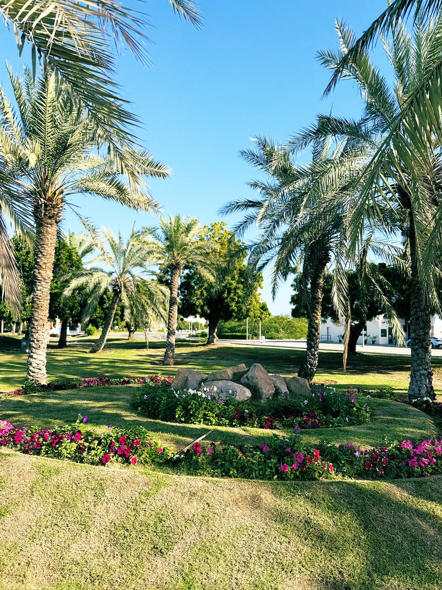 I M M O R T A L ♡ tweet media