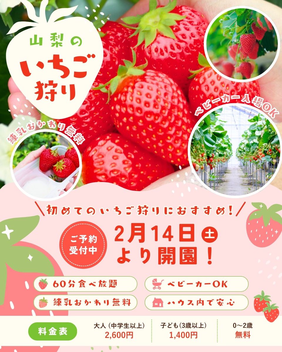 家族向け・初めてのいちご狩りを想定し、子育て世代の母親視点で構成