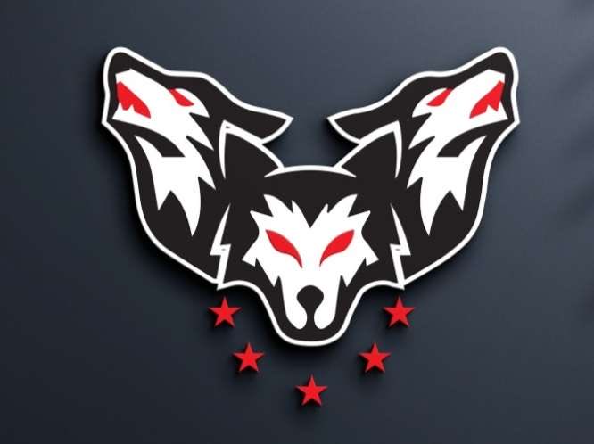I just want to say I’m really grateful for the opportunity to be part of <a href="/United_Madden/">United Madden Crew</a> I appreciate the chance to play, compete, and get better with everyone here. I’m looking forward to growing, putting in work, and helping the crew however I can. Glad to be here
#Wolvesup