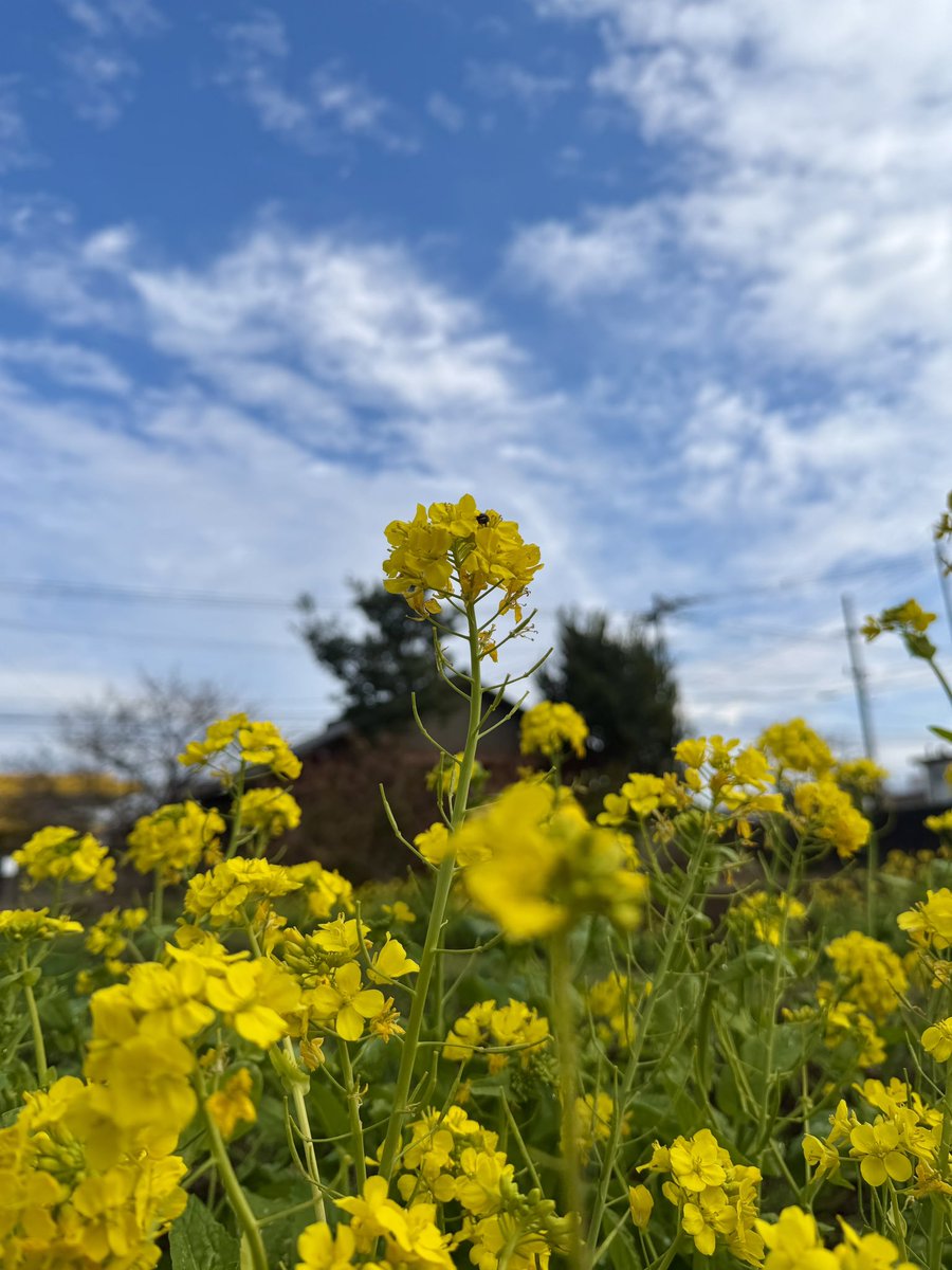 ここ数日天気悪かったから、久しぶりに外に出れて気持ちいい