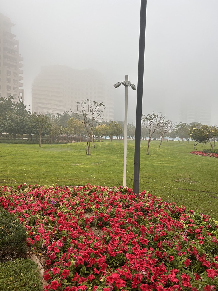 TheCurledLife's tweet image. #Day19 of #WalkEveryday 2026 🌸

Woke up to a beautiful foggy morning 🫶🏽
The best weather to just tuck in to my blanket and go back to sleep but then my dreams are way too big to get back into that comfort. 

58min of pure me time. Only mine. Loved the chilly weather and it was