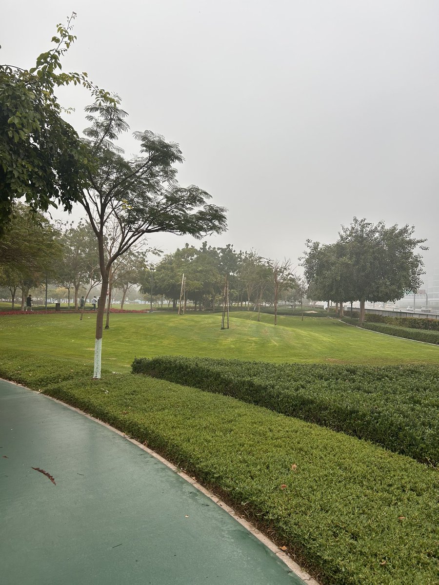 TheCurledLife's tweet image. #Day19 of #WalkEveryday 2026 🌸

Woke up to a beautiful foggy morning 🫶🏽
The best weather to just tuck in to my blanket and go back to sleep but then my dreams are way too big to get back into that comfort. 

58min of pure me time. Only mine. Loved the chilly weather and it was