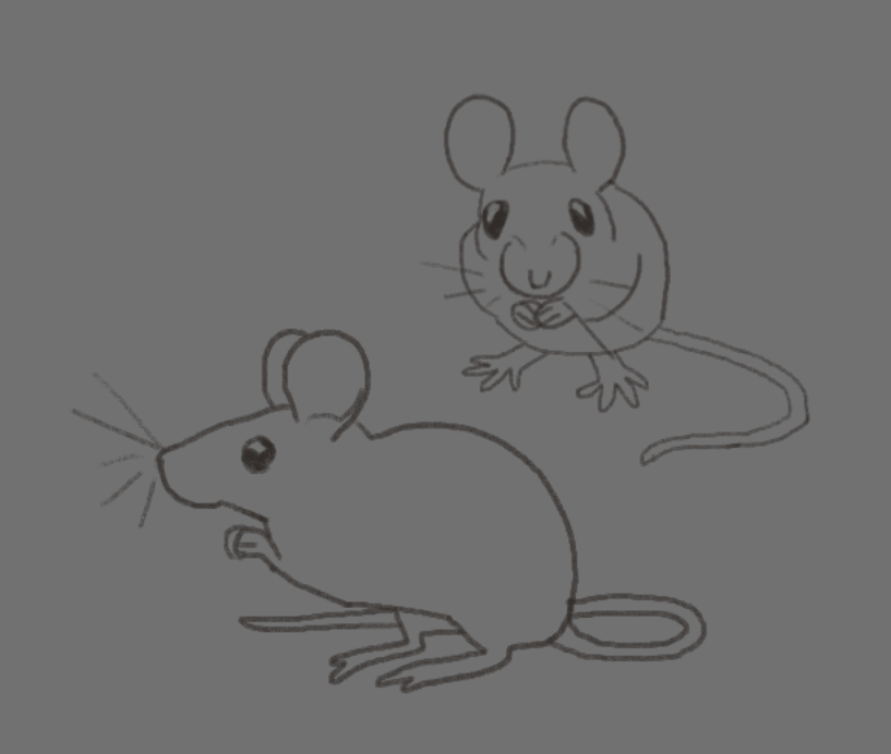Mice look like this and we allow it