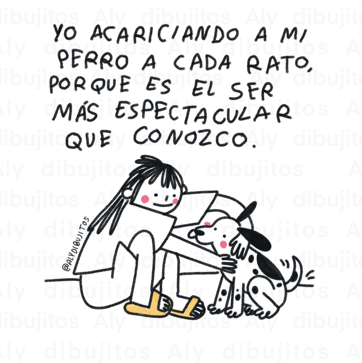 Dilo con perritos (@diloconperritos) on Twitter photo 