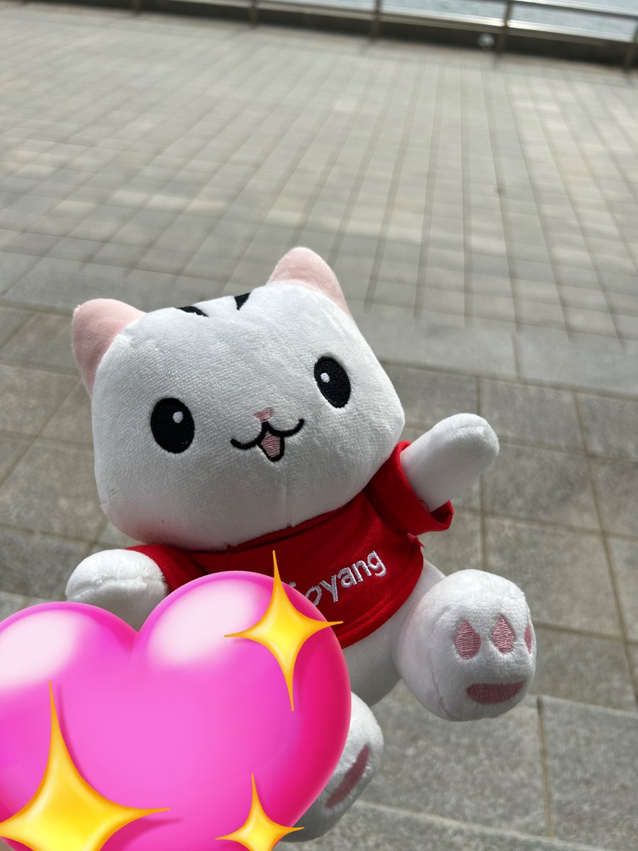 HighSunLight_GY's tweet photo. 토실토실하다구~
재고가 있었다니 감동이야🥺 https://t.co/HUOT7cXXCO