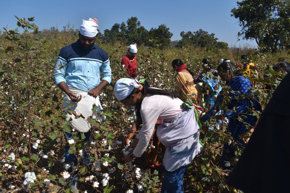 PwC_IN's tweet image. Last month, 10+ PwCites from our offices in Hyderabad visited villages in the Kumuram Bheem Asifabad district for an impactful and humbling experience. Click to read: bit.ly/4tlWwK1 #PwCIF #EmpoweringFarmers #Volunteering