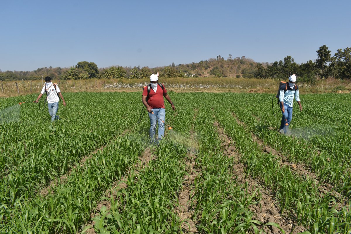 PwC_IN's tweet image. Last month, 10+ PwCites from our offices in Hyderabad visited villages in the Kumuram Bheem Asifabad district for an impactful and humbling experience. Click to read: bit.ly/4tlWwK1 #PwCIF #EmpoweringFarmers #Volunteering