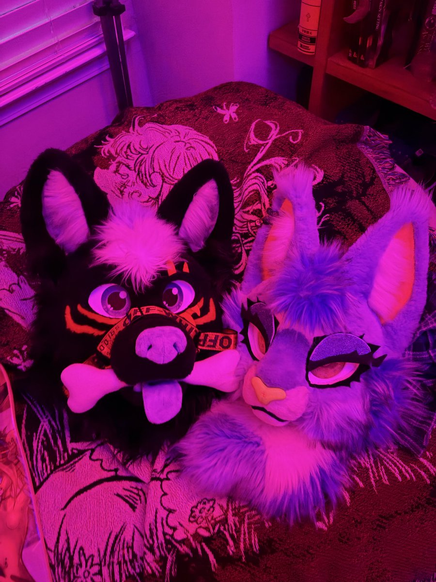 Nyx🔜FWA,MP tweet media