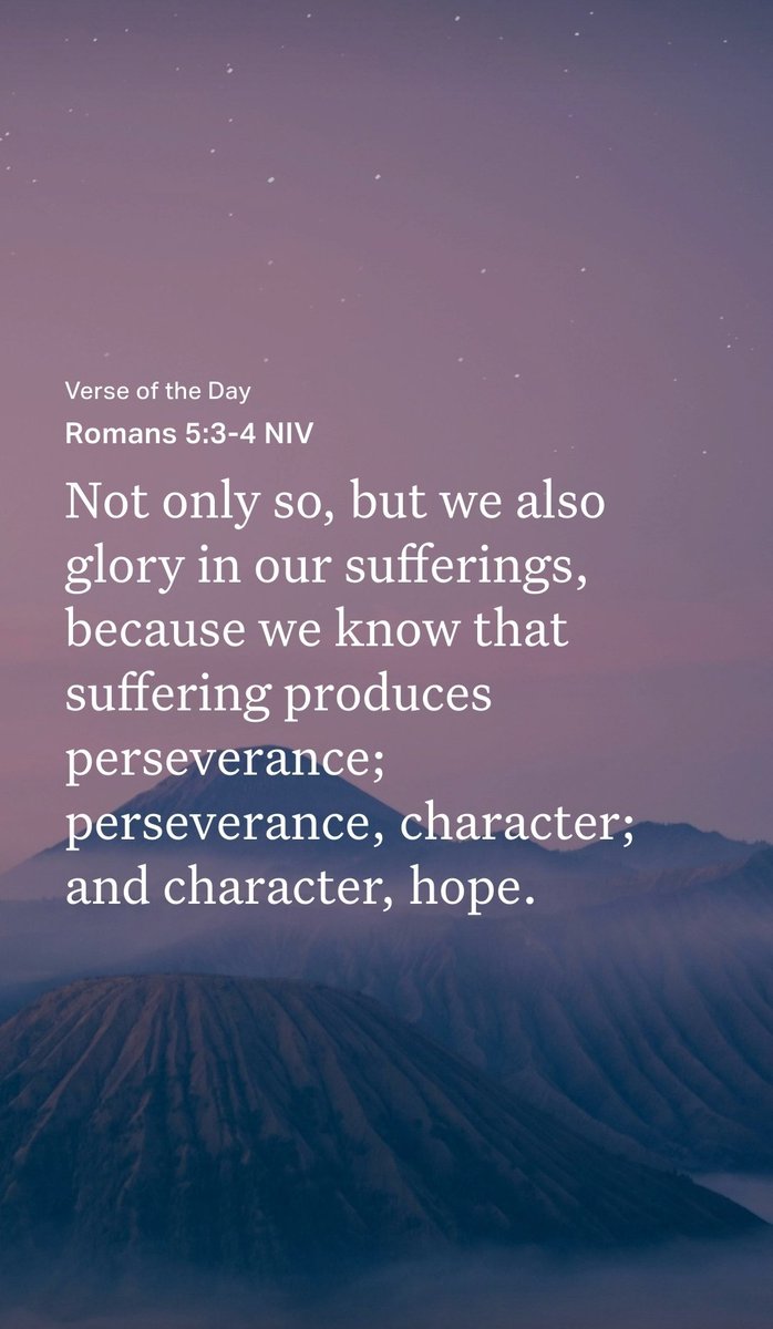 Shiller (@shiler0x) on Twitter photo 