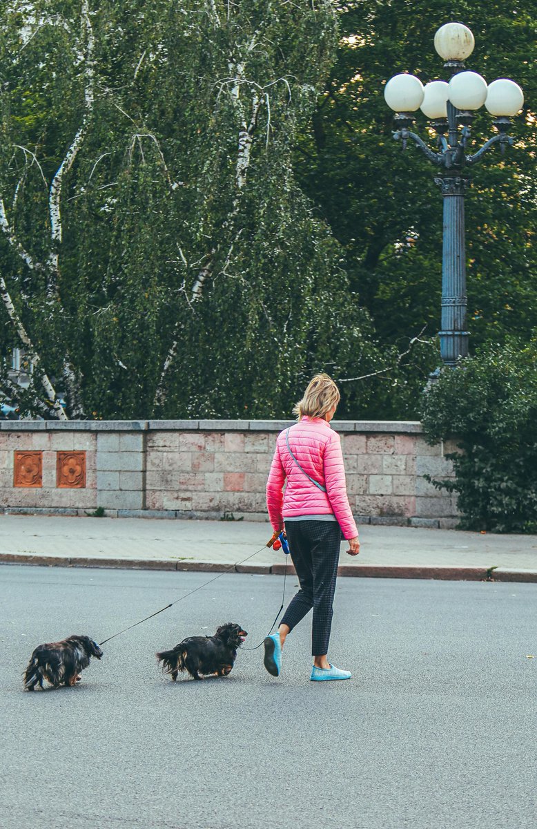 kninepets's tweet photo. Walking your dog every day is a fun way to stay active, enjoy fresh air, and spend quality time together. 🐶🌿🚶♀️
https://t.co/6eA1KQIMCv
#DogWalking #HealthyHabits #FreshAir #PetBonding #DailyWalks #ActiveLifestyle #HappyPup #OutdoorTime #StayActive #FurryFriend https://t.co/ialq157WrO