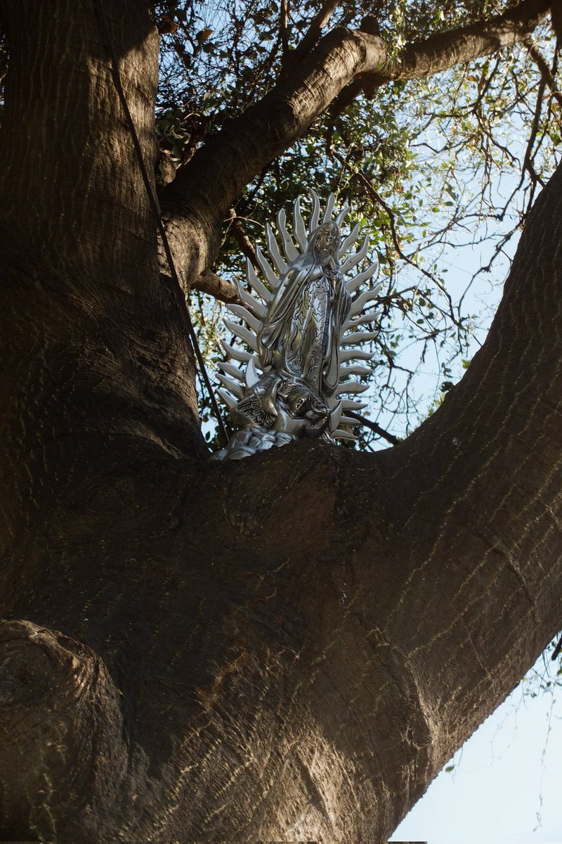 tercus (@tercuskuhnsis) on Twitter photo 