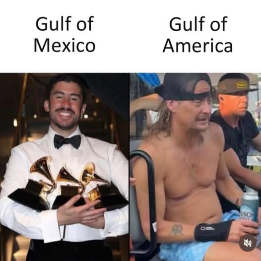 Poppy 💫🇦🇺☮🍅🥒🥕🥭🍊🍋 (@trevor_allan_1) on Twitter photo 