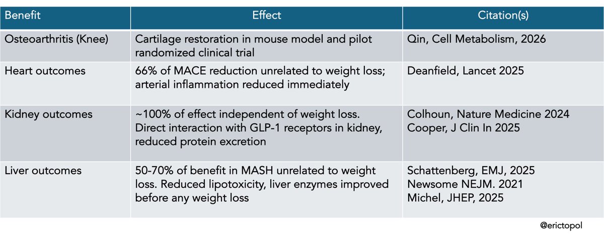 Los GLP-1 tienen efectos posibles o ya demostrados en el cuerpo que no estan relacionados directamente con la pérdida de peso estos son;

- Reducción /remisión del higado graso
- Regeneración del cartilago articular
- Reducción del riesgo cardiovascular
- Nefroprotección