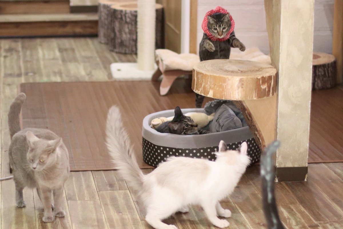 さ、きょうもやるか〜！！！