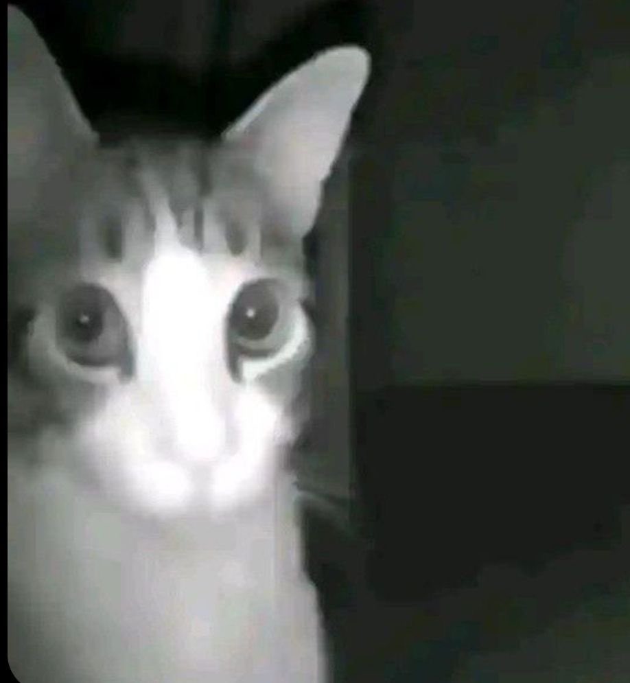 Soda 🥀⚰️ || IN MOURNING tweet media