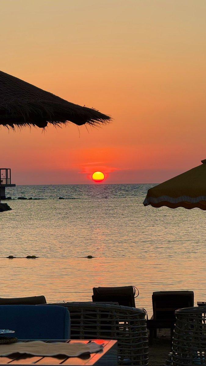 Mis ☕️ | 📸 tweet media