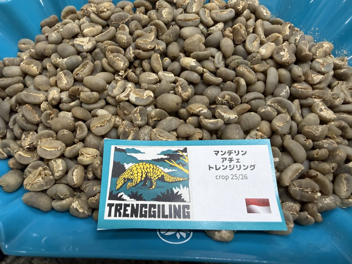 品薄になっていたインドネシア🇮🇩産
ですがこの度入荷しました！

2/12より
✴︎マンデリン・アチェ・トレンジリング25/26
✴︎リントン・グリーン・ゲッコー25/26
の2種類の販売を開始いたします✨

来週には
コロンビア🇨🇴ロケットフラワー
ブラジル🇧🇷フルッタ・メルカドン
出荷開始です😊